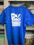 201003281108001.jpg